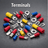 Terminals