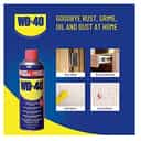 Pidilite WD-40 Multiple Maintenance/Multi-Use Product Spray with Straw