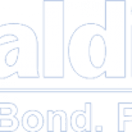 Pidilite logo